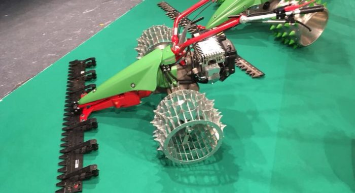 23843140_1542244535856655_5882105610754579050_n
