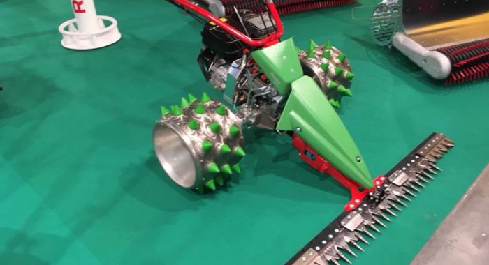 23843304_1542244659189976_1987387243736577758_n