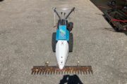 Bertolini 1