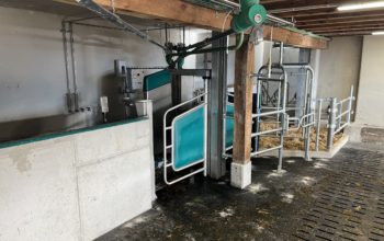 Dairyrobot