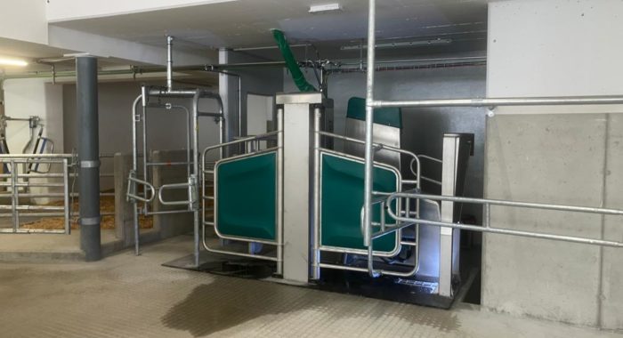 Gea DairyRobot Melkroboter 2