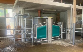 Salcher Martina DairyRobot