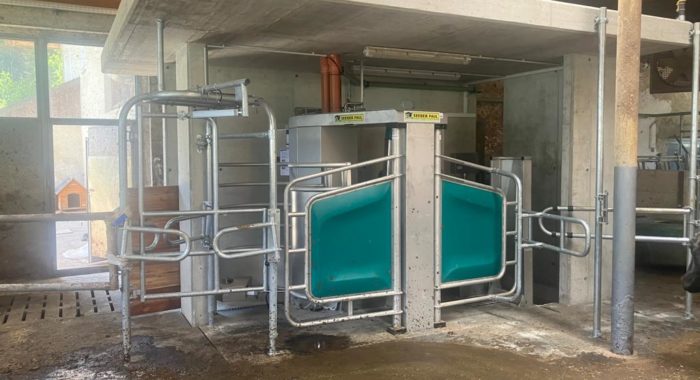 Salcher Martina DairyRobot