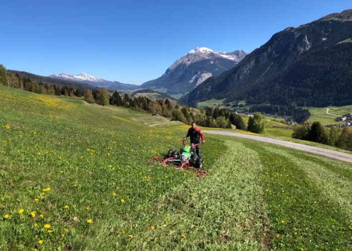 Wiesenschleppe