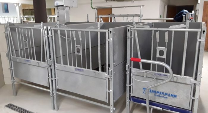 Zimmermann Stall