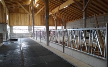Zimmermann Stall Hilber 2