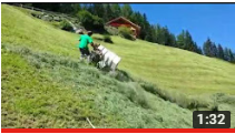 thumbnail rapid monta ebnerhof