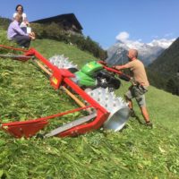 thumbnail_IMG_4329