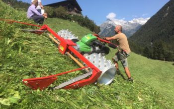 thumbnail_IMG_4329