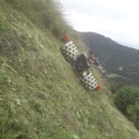 thumbnail_e35e1212-b671-4d43-972e-874b991f637a